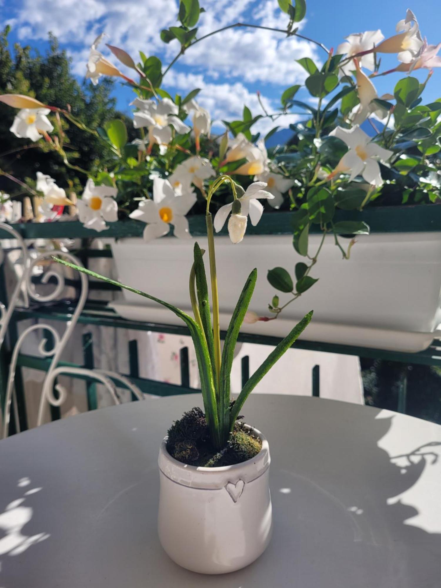 Dal Nonno Riva del Garda